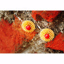 Sunrise Paddy Earrings - Divine Yoga Shop