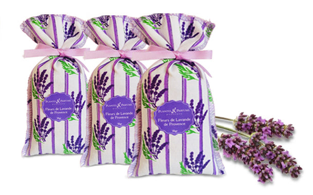 Premium Lavender bag - Authentic dried Lavender flowers × 1 Bag of 18 grams - Divine Yoga Shop