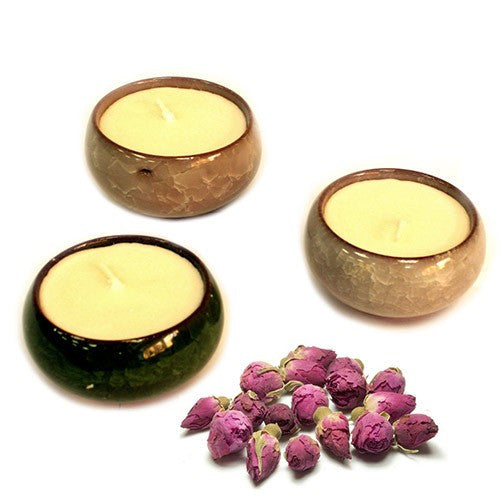 Soybean Tea Cup Candles (Pack of 3) - Divine Yoga Shop
